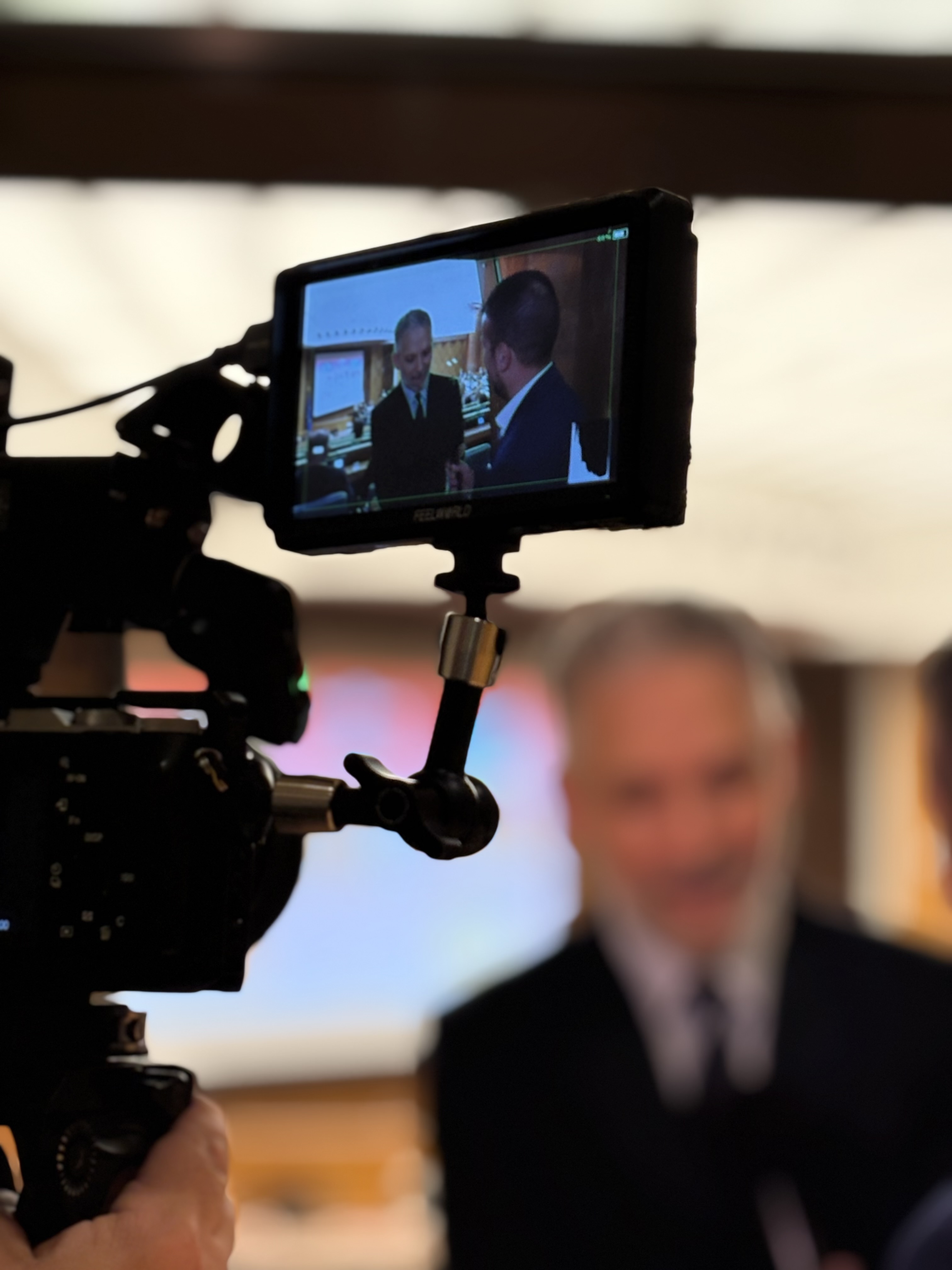 Un anno di zapping e di streaming